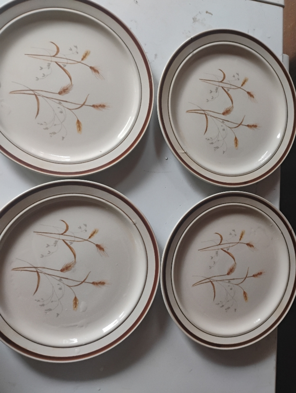 Set of 4 Vintage 1986 Newcor Wheatfield Stoneware Dinner Plates 10.5”